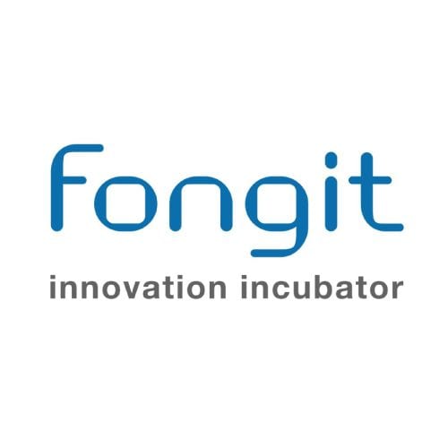 fongit